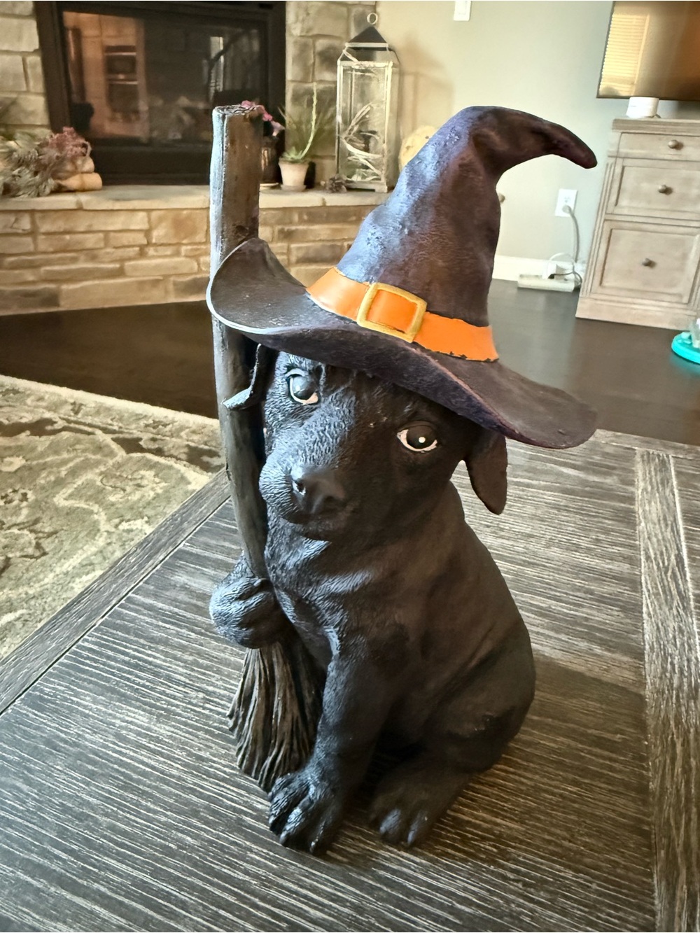 NWT Halloween Black Labrador Witch Dog